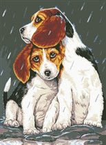 Братская защита