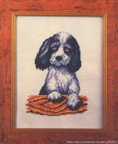 спаниелька