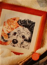 щенок и котенок