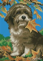 Осенний песик