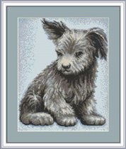 Щенок от Луки