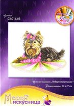 Подружка йоркшира