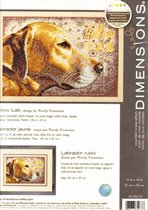 золотой лабродор