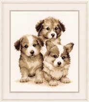 собачки от вервак