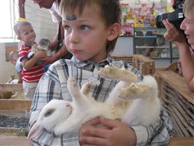 Саша держит кролика