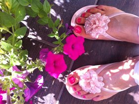 Силикошки лето 2013