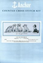 Can I Be Your Friend