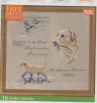 Golden labrador (from magazine)