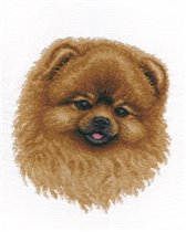 шпиц от панна