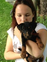 поймали при попытке совершить побег