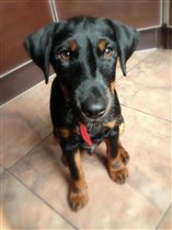 уже 4 месяца