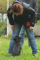 С KatyaStepa на площадке работаем