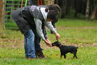 С KatyaStepa на площадке работаем