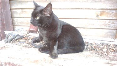 а, что, чего, кого позвать?