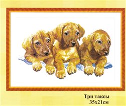 Три таксика