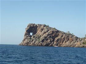 Слон пьет воду!