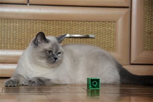 Ну конечно, и мама - наша знаменитая красавица