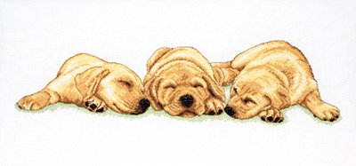 Лаброщенячий сон