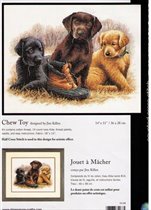 Щенки ретривера от ДИМ