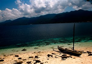 Индонезийские Молукки - острова пряностей