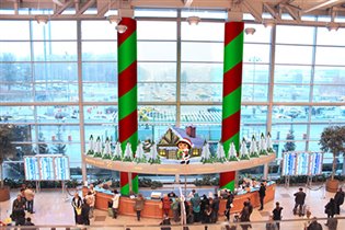 Герои телеканала Nickelodeon отпразднуют Новый год вместе с детьми в аэропорту Домодедово