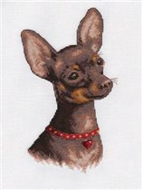 Русский той от Панна