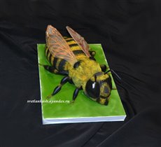 Торт Пчела