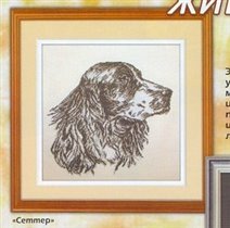 Сеттер (серые тона)