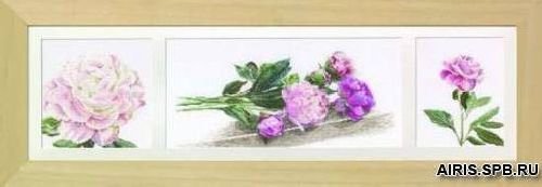 Пионы Гувернер