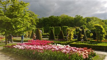 Парк тюльпанов