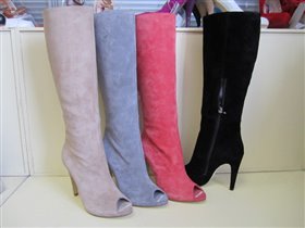 Светски  коралл