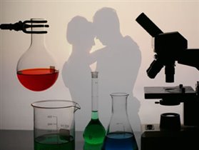 Наука о любви
