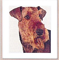 Эрдельтерьер (портрет)