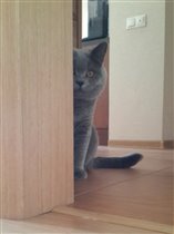 Фото прислали любящие хозяева Ольга и Павел