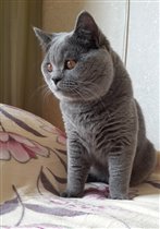 Какой мужчина!!!