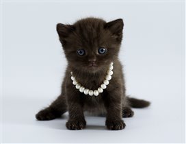 Felicia - милый и трогательный ребенок. 