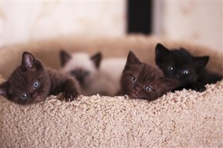 Все в сборе