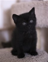 Почти два месяца