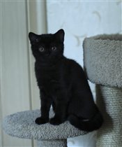 Нереально красивая Бэби