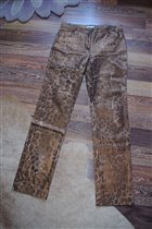 джинсы испания леопард 44-400