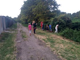 Карлсруэ. Ежевика