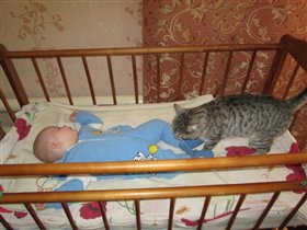 Котик охраняет сон...