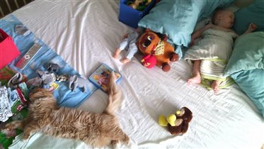 Спят усталые игрушки