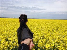 наш с братом плагиат 'Следуй за мной в горчицу'