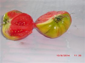 помидоры в разрезе