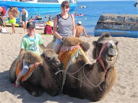 Ах лето, море, пляж и катание на верблюдах 