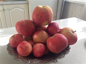 Яблоки с дачи. 