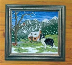 Бордер колли на природе