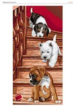 на прогулку