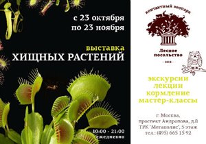 Выставка хищных растений в «Лесном посольстве»